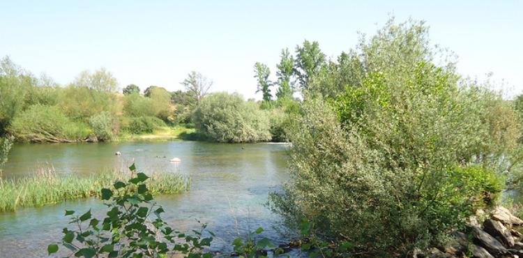 14 projectos de reabilitação de regadios aprovados para o distrito