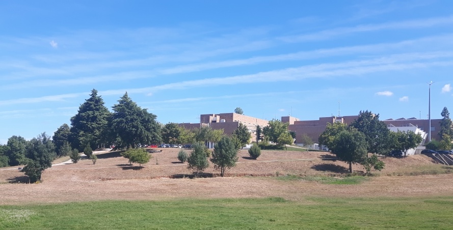 Instituto Politécnico de Bragança preencheu 44,2% das vagas