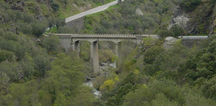 Deputados do PSD questionam governo sobre as condições de segurança da estrada entre Carção e Vimioso