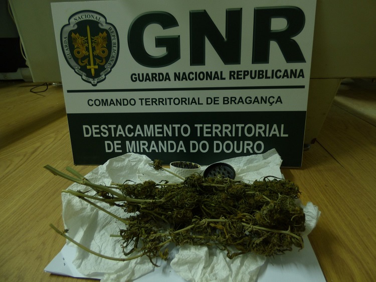 Homem de 36 anos detido por posse de droga em Mogadouro