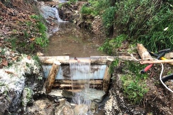 Ecossistemas ribeirinhos de Chacim e Malta reabilitados pelo Município de Macedo