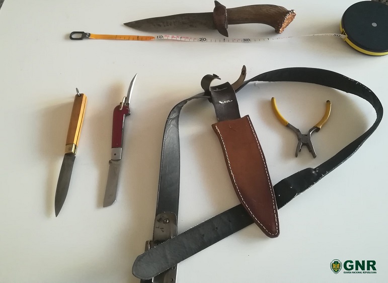 Homem de 53 anos detido por posse ilegal de armas em Vimioso