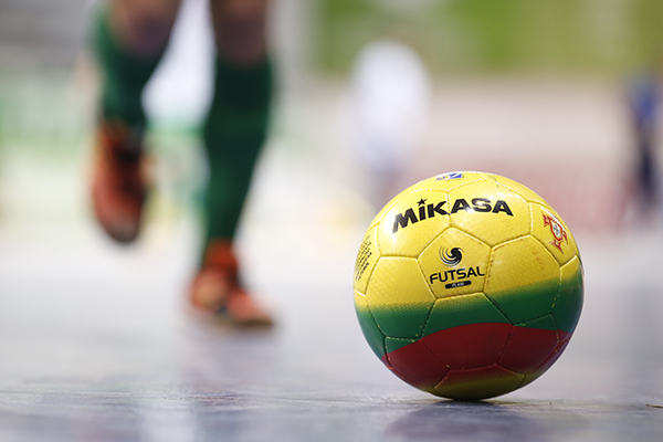 Mogadouro vai reforçar o plantel