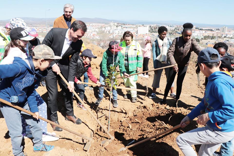 Dias mundiais para celebrar a vida