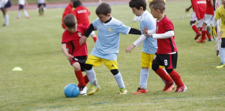 Torneio Crescer Jogando 2019 promete ser o maior de sempre com mais de mil jovens jogadores