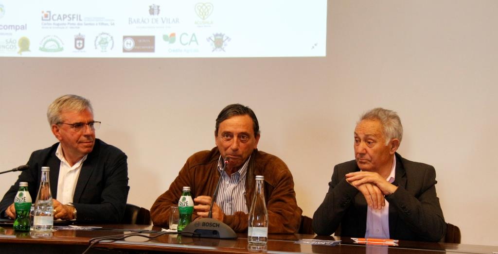 Atletismo: Fernando Mamede apadrinha IX Grande Prémio Marcelo de Azevedo