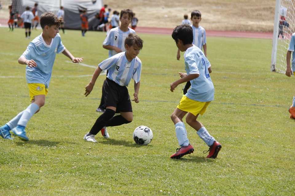 Torneio Crescer Jogando reafirma-se como o maior evento de desporto jovem do distrito de Bragança