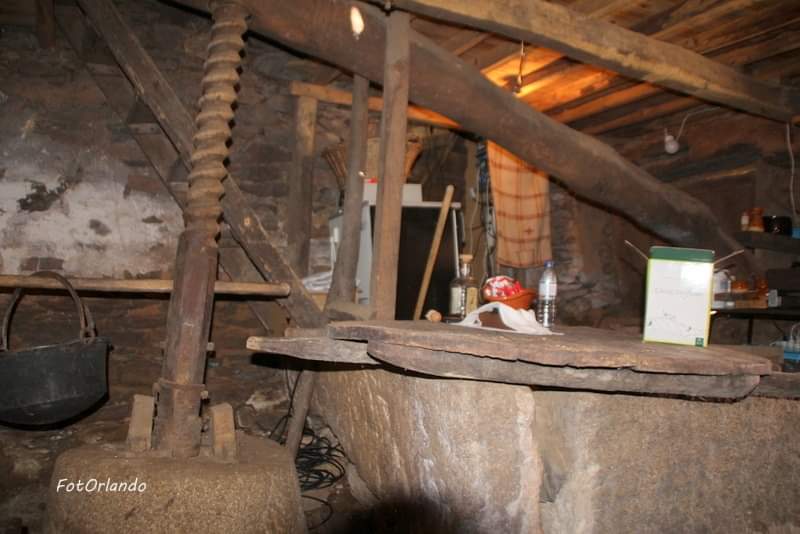 Vinho e outras artes nas adegas de Atenor