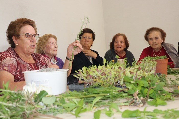 Interesse cultural do projecto Aldeias Pedagógicas da Azimute reconhecido pelo ministério