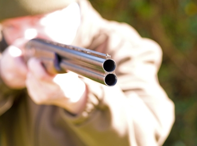 Homem detido por posse de armas e crimes de caça ilegal em Vila Flor