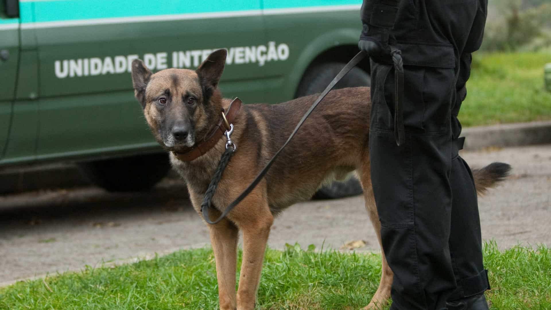 Idosa desaparecida de lar em Mogadouro