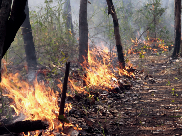 Incêndio lavra mato em Bornes, Macedo de Cavaleiros