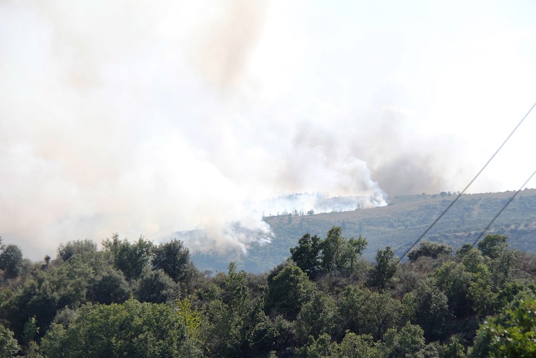 Homem de 81 anos encontrado morto no perímetro do incêndio no concelho de Vimioso