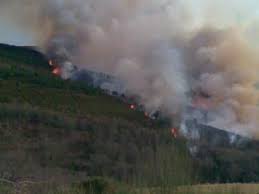 Bragança tem menos incêndios rurais mas é o sexto distrito com mais área ardida