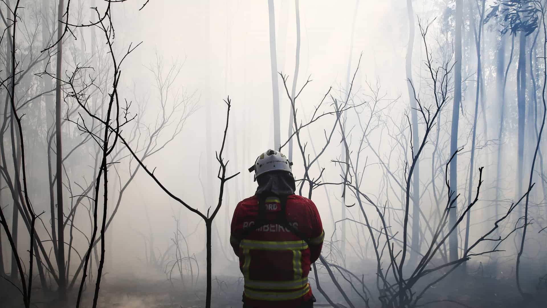 Portugal Continental em situação de alerta para risco extremo de incêndio rural