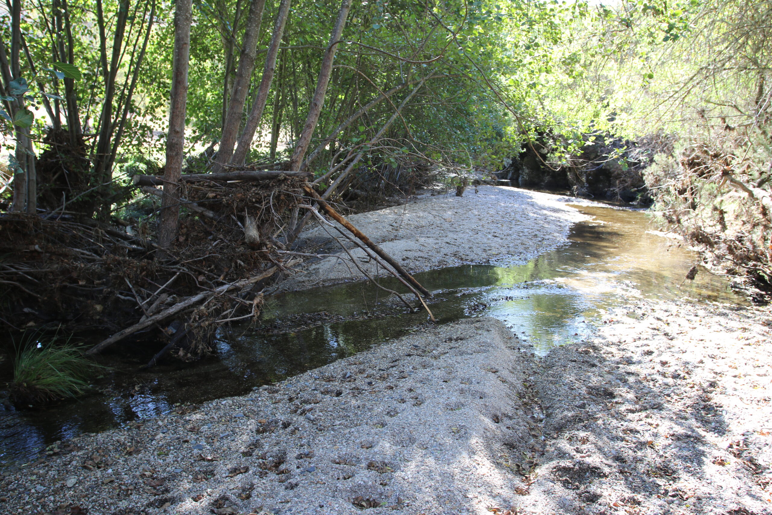 Rio na Aveleda, Bragança, poluído e assoreado com resíduos das antigas minas desactivadas do Portelo