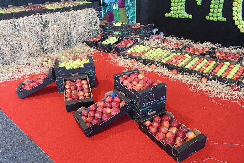 Cidra de Maçã feita em Carrazeda foi a novidade da 24ª Feira da Maçã, Vinho e Azeite
