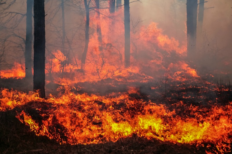 Incêndio em Quintela de Lampaças já se encontra extinto