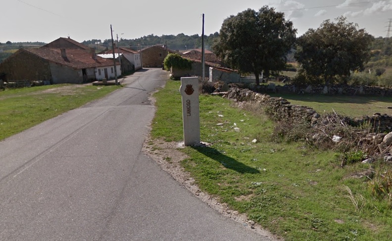 Homem de 67 anos morreu atingido por uma árvore em Lamoso