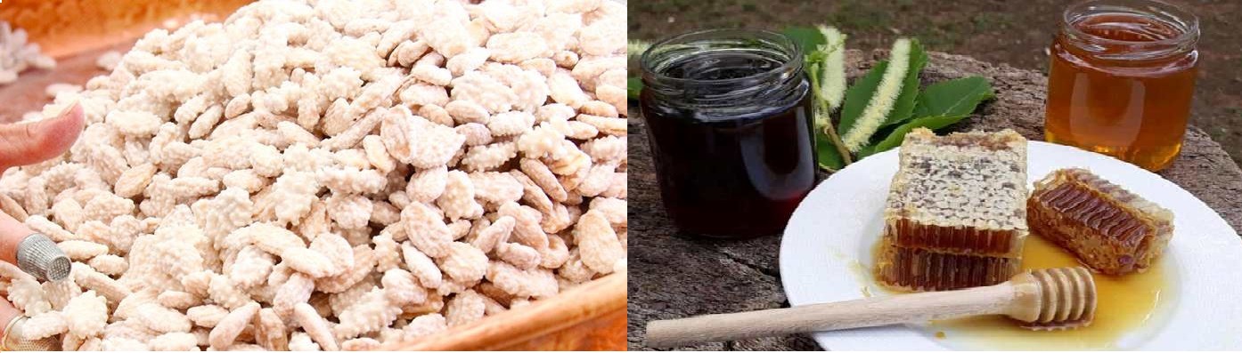 Mel Biológico de Montesinho e a Amêndoa Coberta de Moncorvo nomeados 7 Maravilhas de Doces de Portugal