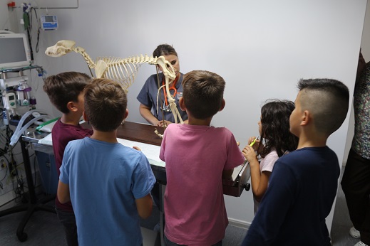 Dia do animal assinalado em Bragança com “open day” para as crianças