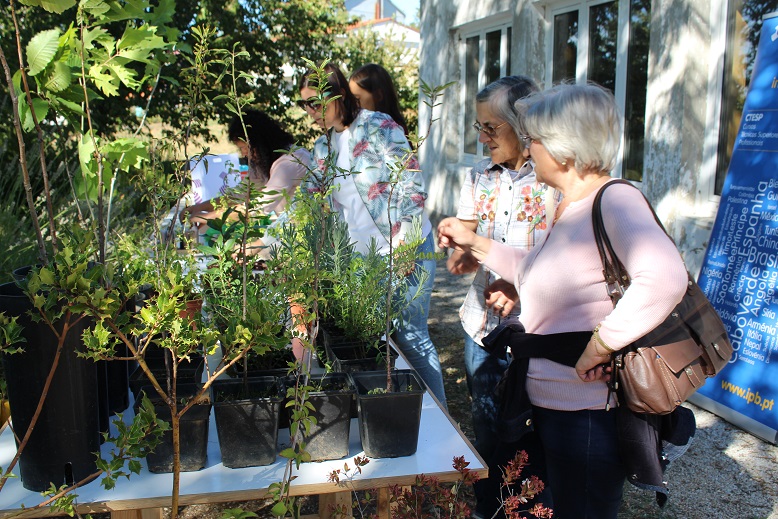 Azimute promove Encontro de Troca de Sementes e Plantas para mostrar importância de sementes nativas
