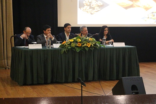 Produção de amêndoa a crescer em Trás-os-Montes