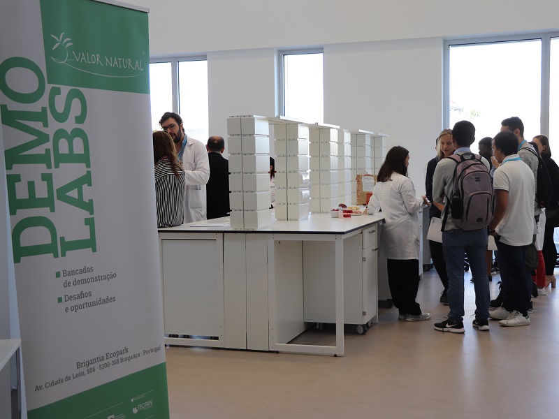 “Valor Natural” já está a trabalhar com empresas da região para pôr aromas e corantes naturais no mercado