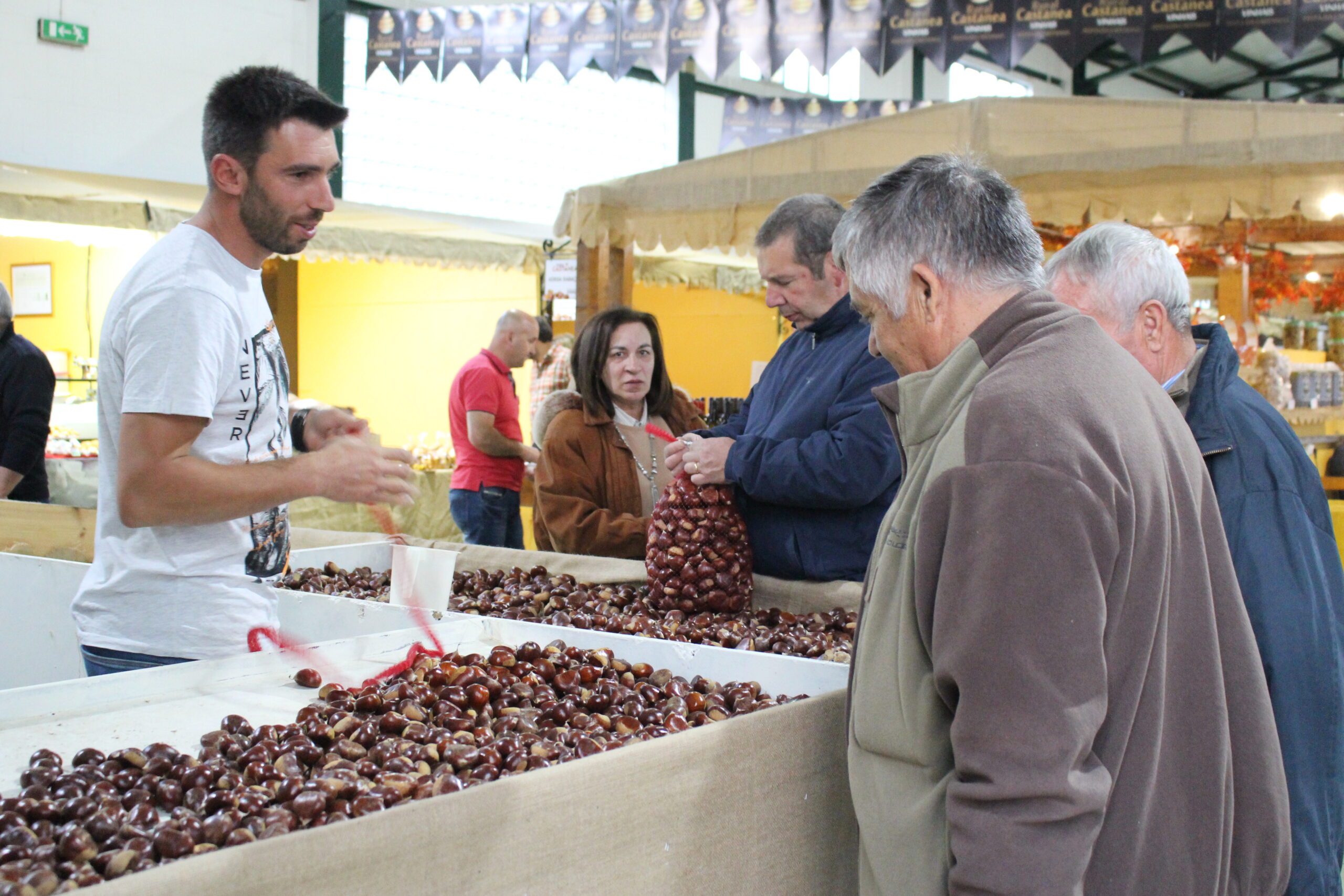 XIV Rural Castanea revela o crescente interesse pela cultura do castanheiro em Vinhais