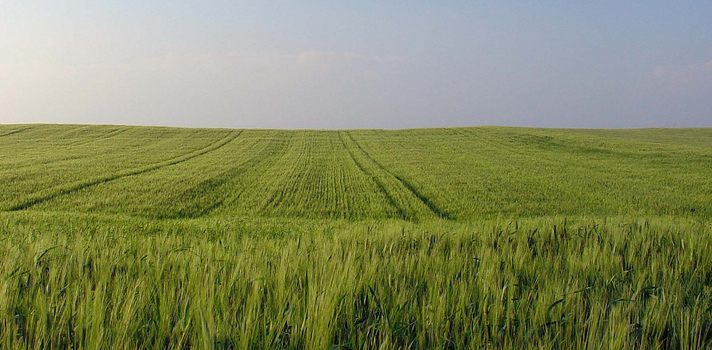 Produtores da cultura agro-ambiental preocupados com o futuro do sector