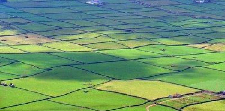 Transmontanos ainda apresentam dúvidas sobre legislação referente a instrumentos de estruturação fundiária, emparcelamento rural e bolsa de terras