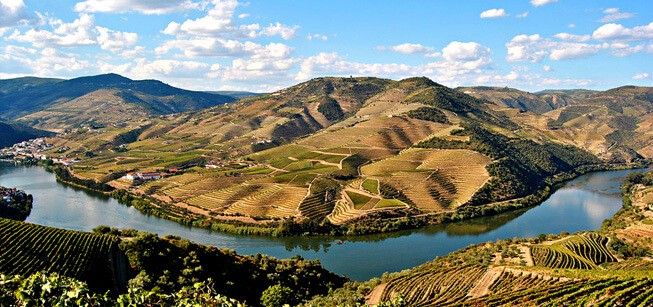 Conselho Regional do Norte aprova moção para reivindicar regionalização