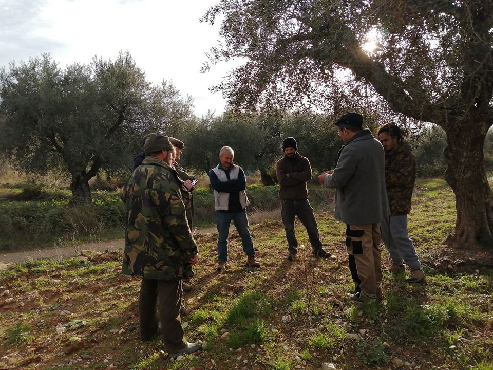 Hotspot de Biodiversidade vai trocar os eucaliptos de Vimioso por árvores autóctones