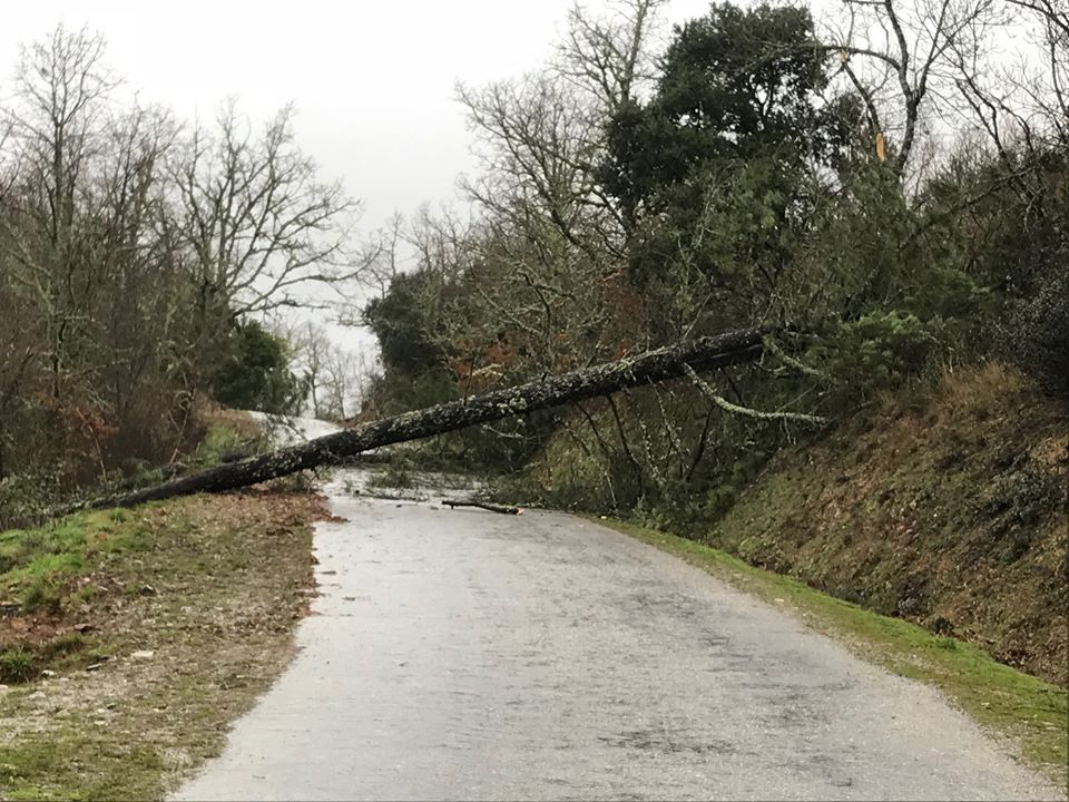 Depressão Elsa provoca danos no distrito de Bragança