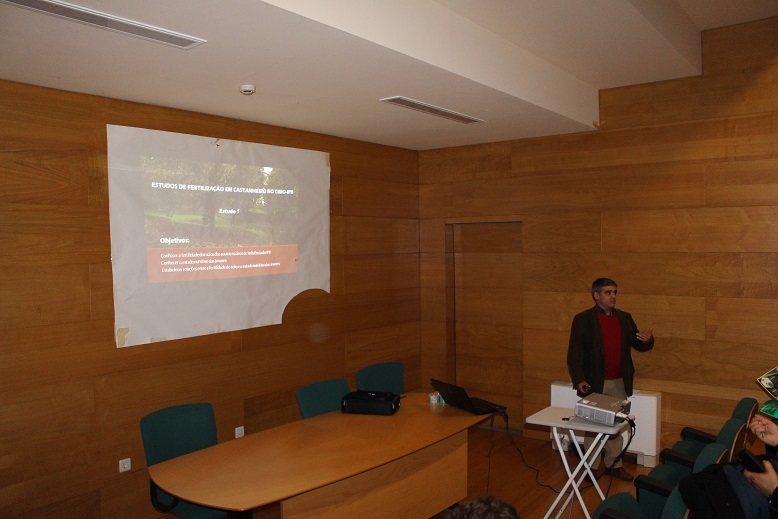 Castanheiros carecem de Azoto, Boro e Potássio segundo estudo do IPB