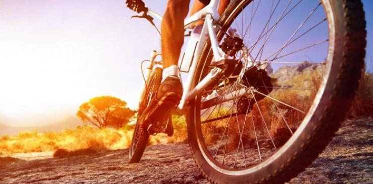 BTT: Taça de XCM da Associação de Ciclismo de Bragança começa no domingo em São Julião de Palácios