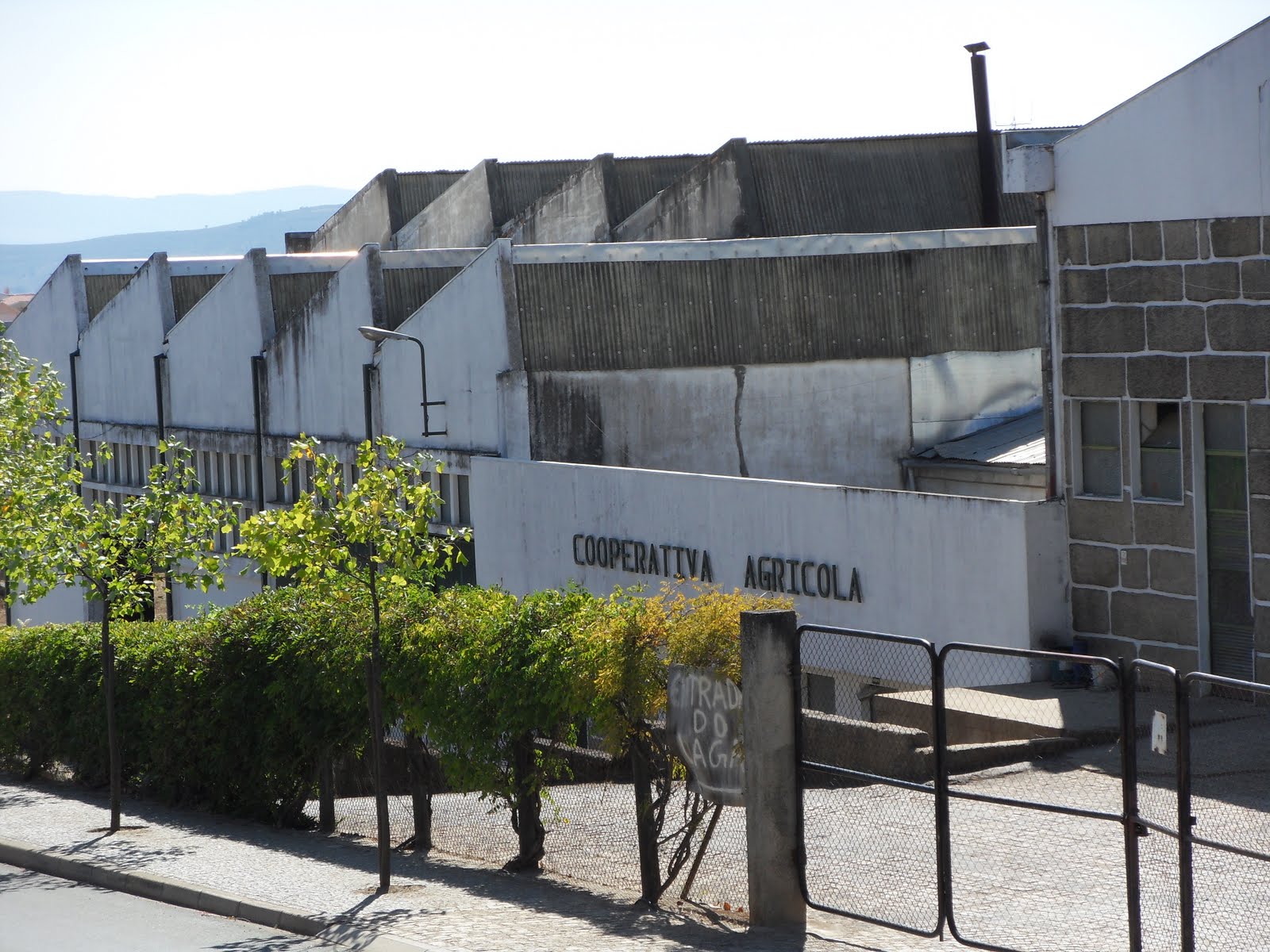 Direcção da Cooperativa de Alfândega apresentou demissão