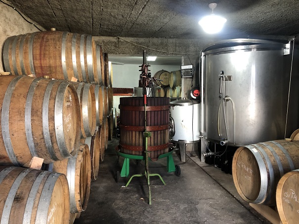 Enólogos transmontanos exploram vinhas velhas em Bemposta para produzir os tradicionais palhetes