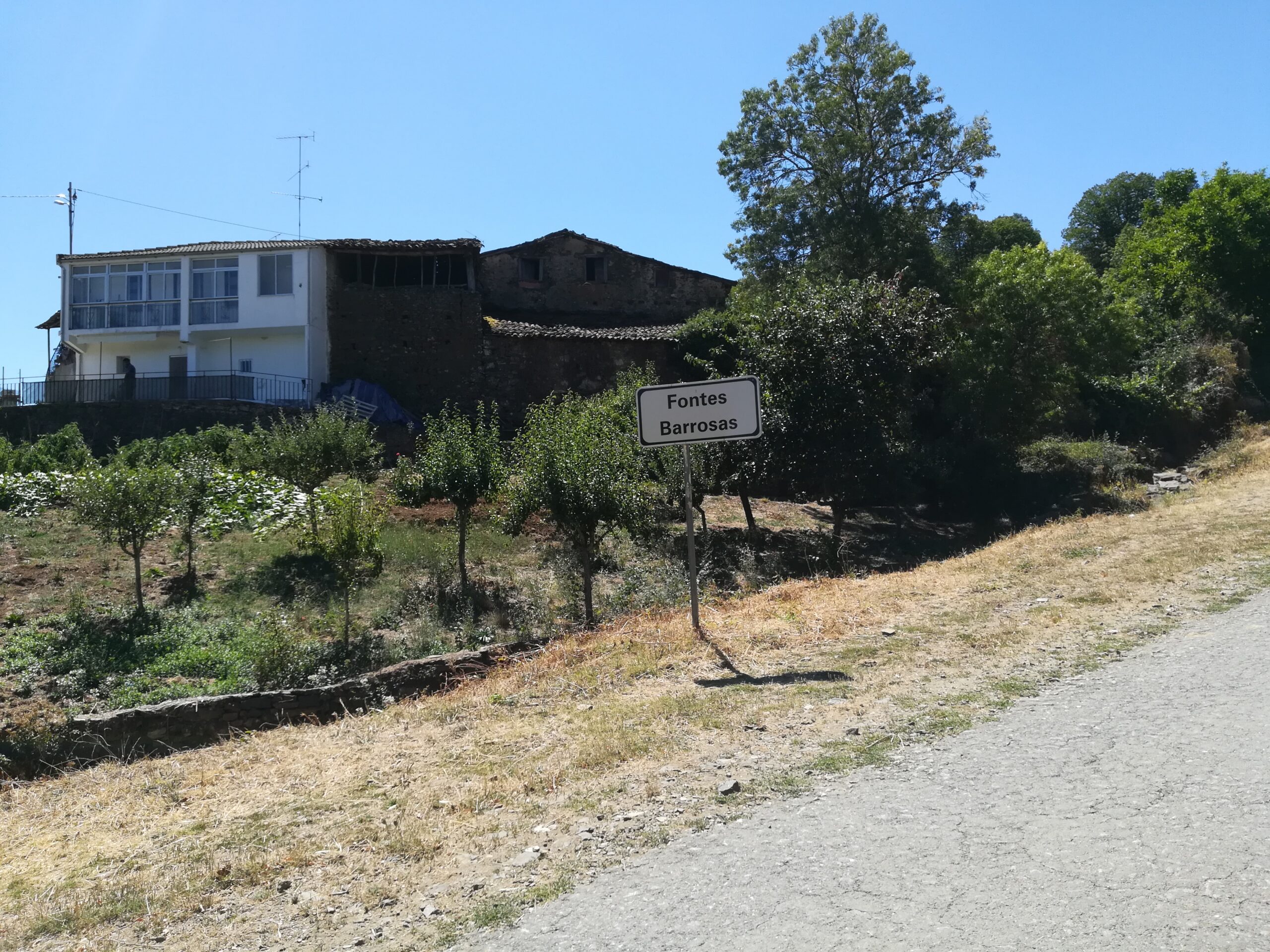 Homem de 82 anos encontrado sem vida em terreno agrícola em Fontes Barrosas