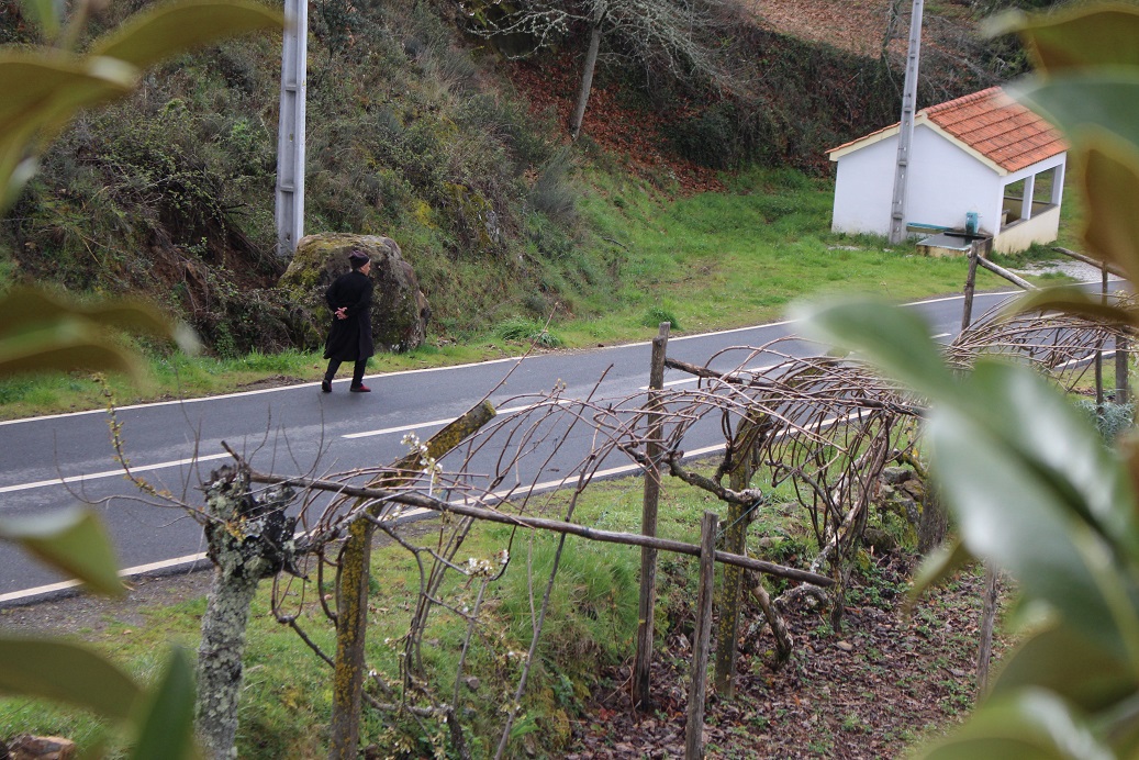 “Parece que estamos num país estrangeiro e não falamos a língua nem nos juntamos com ninguém”