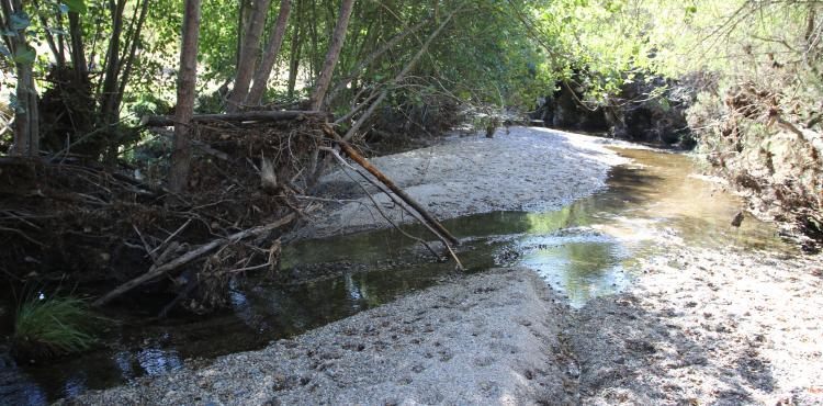 Rio de Aveleda (Bragança) ainda pode ser reabilitado