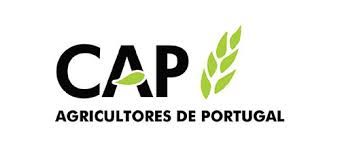 CAP defende união de pequenos agricultores para encontrar formas de escoar bens agrícolas