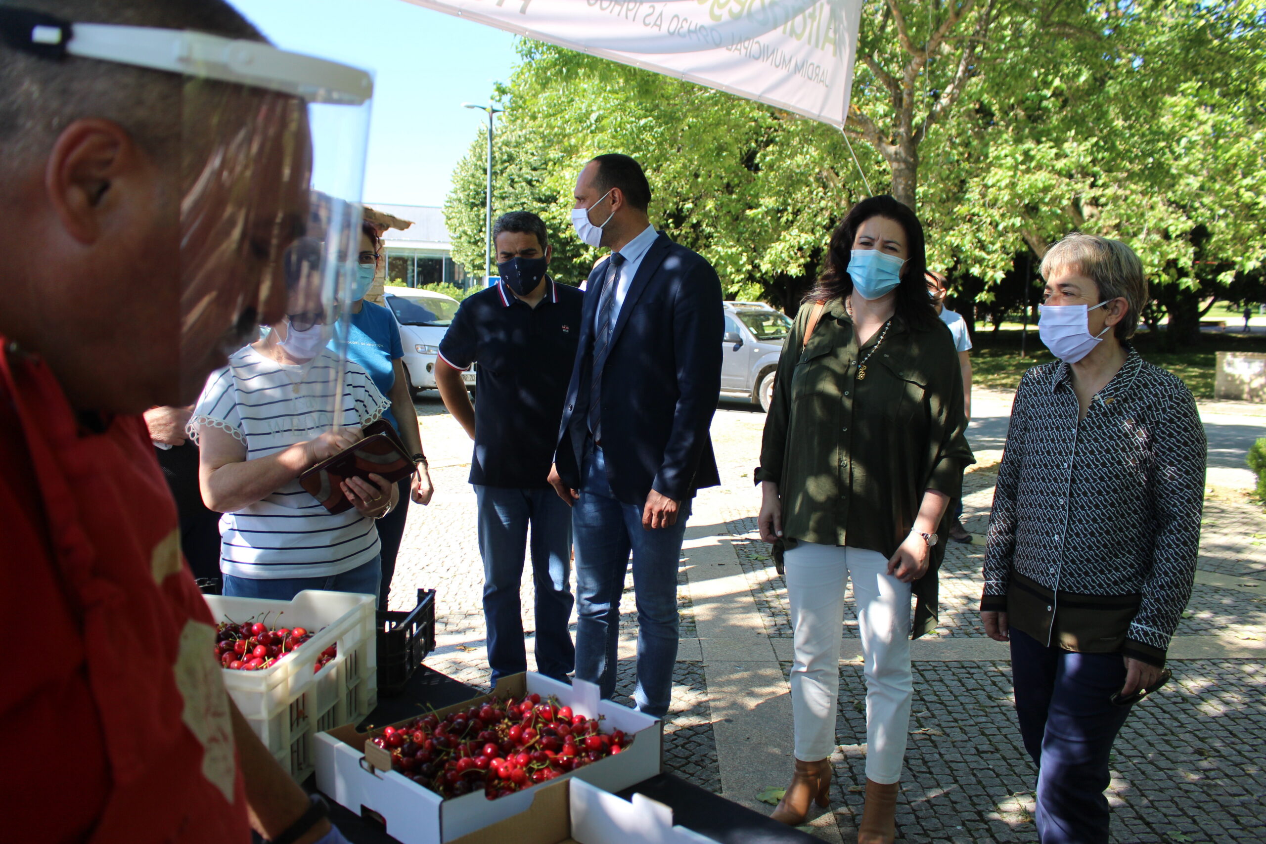 Plantação de cerejais requer garantia de seguros