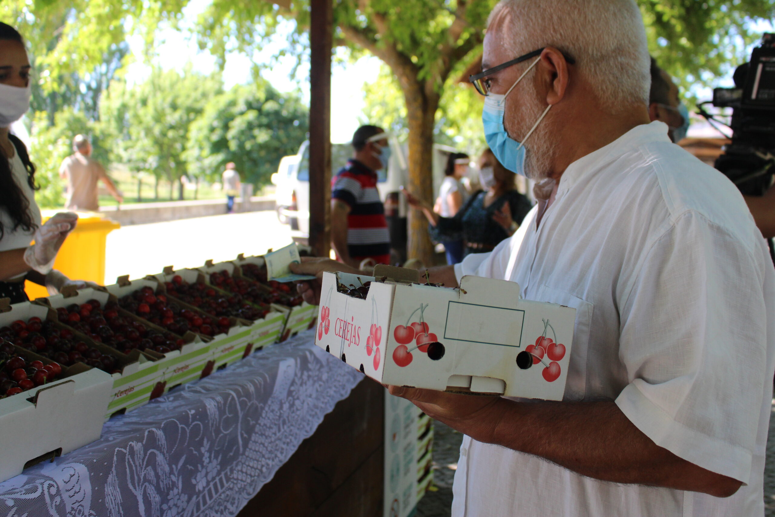 Produção de cereja reduzida a metade em Alfândega da Fé