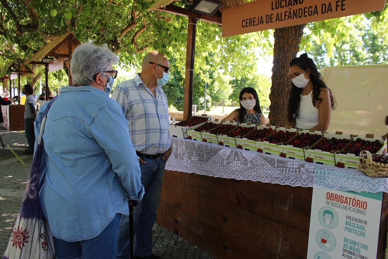Quebra na produção de cereja em Alfândega da Fé deve chegar aos 50%