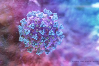 Nenhum novo caso de Covid-19 e 11 pessoas recuperadas da doença no distrito de Bragança