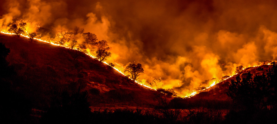 Bombeiro de Alfândega da Fé terá provocado 18 incêndios florestais