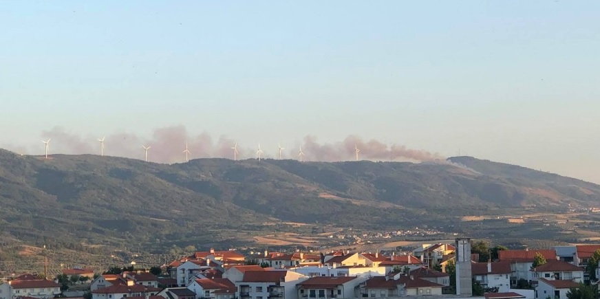 Incêndio consome mato em Bornes