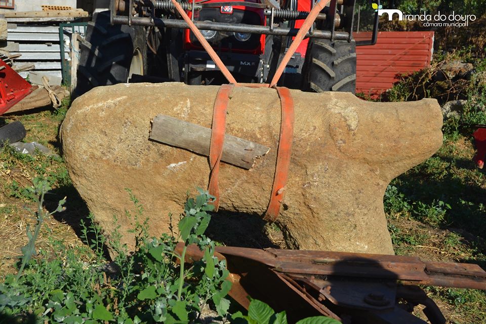 Figura zoomórfica com mais de dois mil anos descoberta em Miranda do Douro
