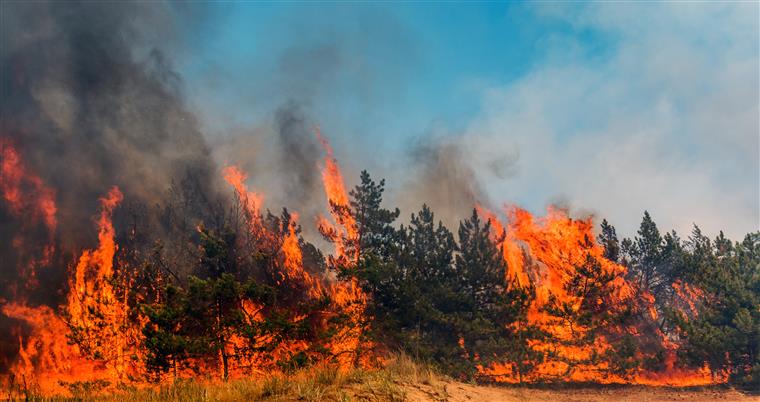 Detido pelo crime de incêndio florestal na freguesia em Rebordelo